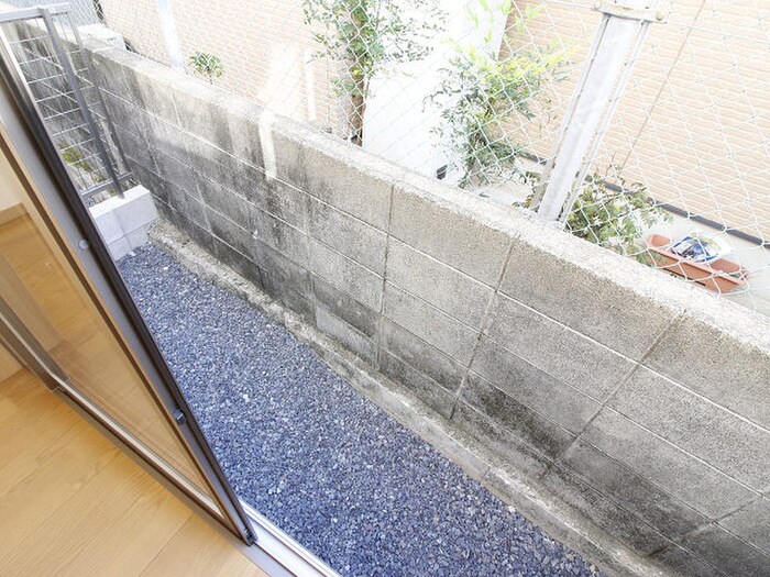 エクシヴ上富野の物件内観写真