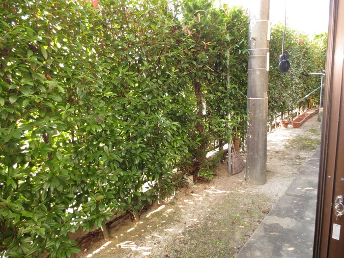 日の出ハイツ２の物件内観写真