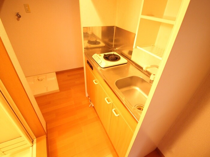 ﾗｲｽ天神南の物件内観写真