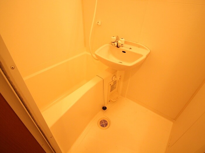 ﾗｲｽ天神南の物件内観写真