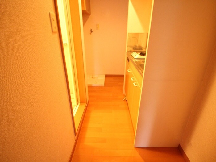 ﾗｲｽ天神南の物件内観写真