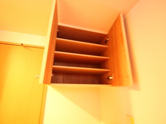 ﾗｲｽ天神南の物件内観写真