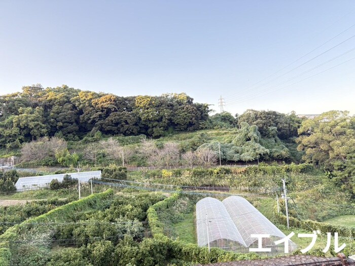 唐湊ハイツの物件内観写真
