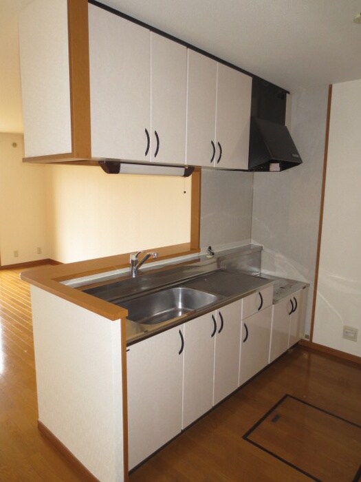 ディナスティⅥの物件内観写真