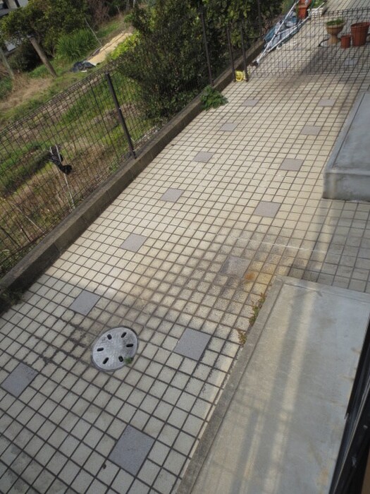 ディナスティⅥの物件内観写真