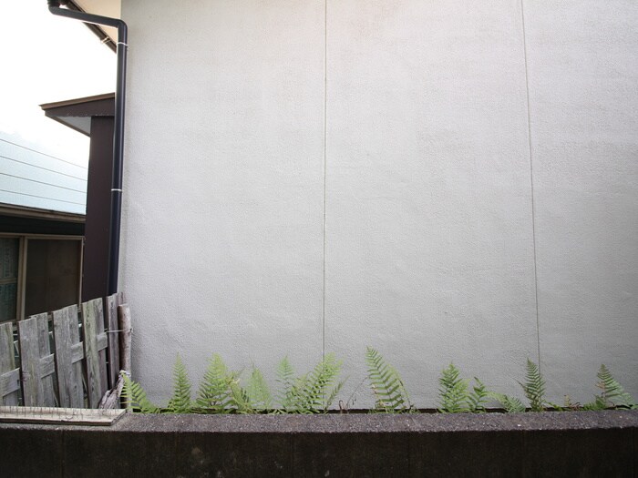 ア－デンハイム志免の物件内観写真