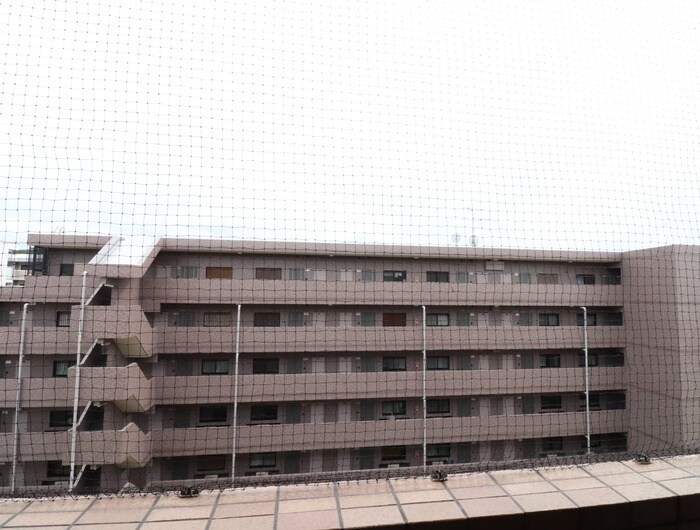 ジュネス自由ヶ丘の物件内観写真