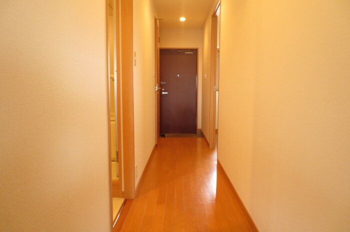 アルカディア新宮の物件内観写真