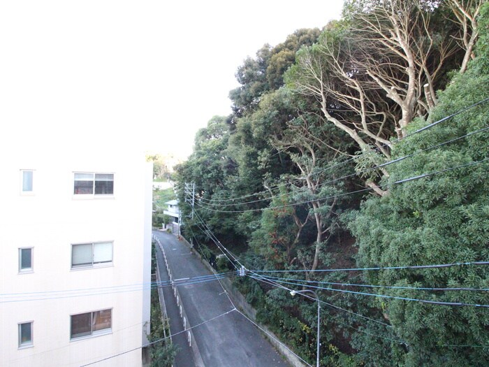 シャトレ平尾浄水町の物件内観写真