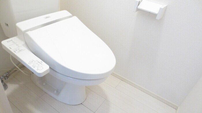 Ｃａｓａ　Ｌｅｍｏｎの物件内観写真