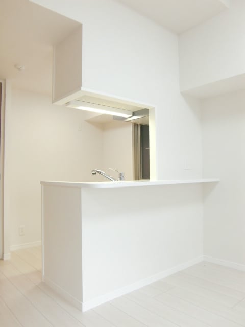 ネストピア天神東Ⅱ(502)の物件内観写真