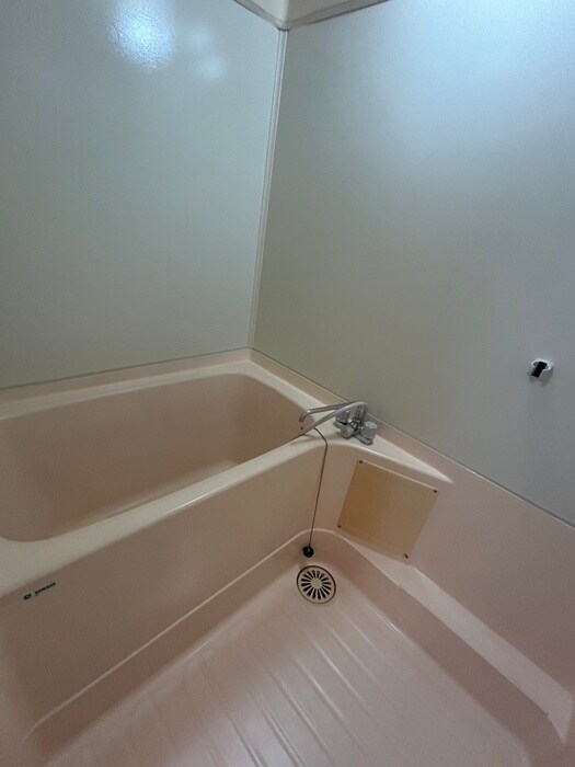 ﾄﾞﾐ-ﾙいけはたの物件内観写真