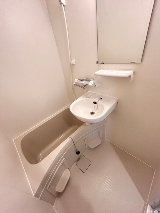 House of LIZA 平岸壱番館の物件内観写真