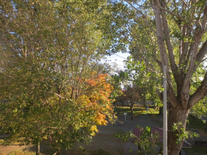 La Causa N22の物件内観写真