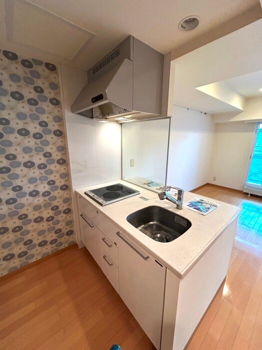 ホ－リ－フォ－ト南平岸の物件内観写真