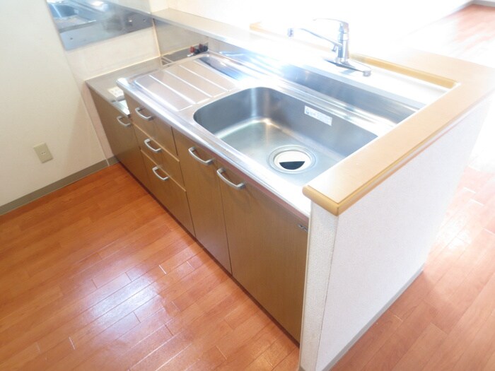 ドミンゴ山鼻の物件内観写真