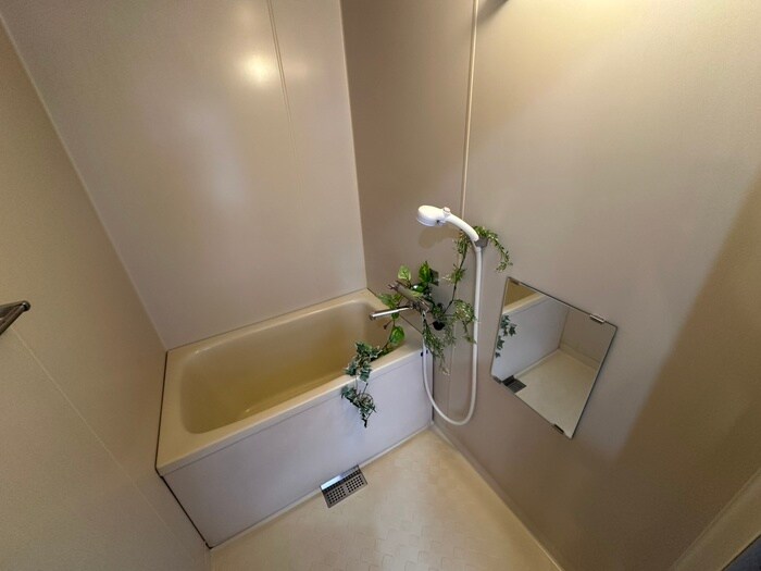 メゾン八軒の物件内観写真