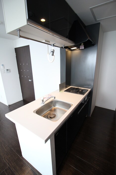 リュクス円山公園の物件内観写真