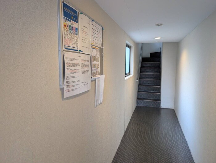 セレジェイラの物件外観写真