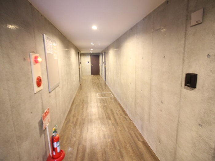 レジーナ南４条の物件外観写真