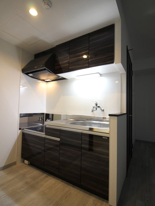 レジーナ南４条の物件内観写真