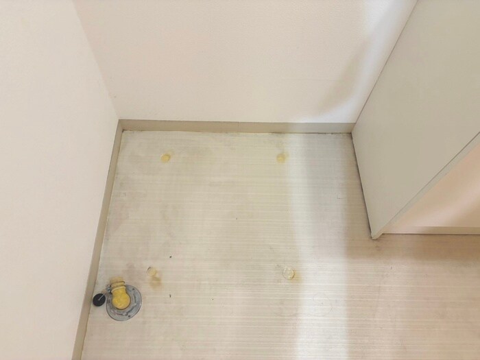 グレイスコート菊水の物件内観写真