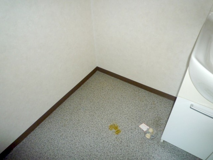 Ｅｌｙｓｅｅ１８７の物件内観写真