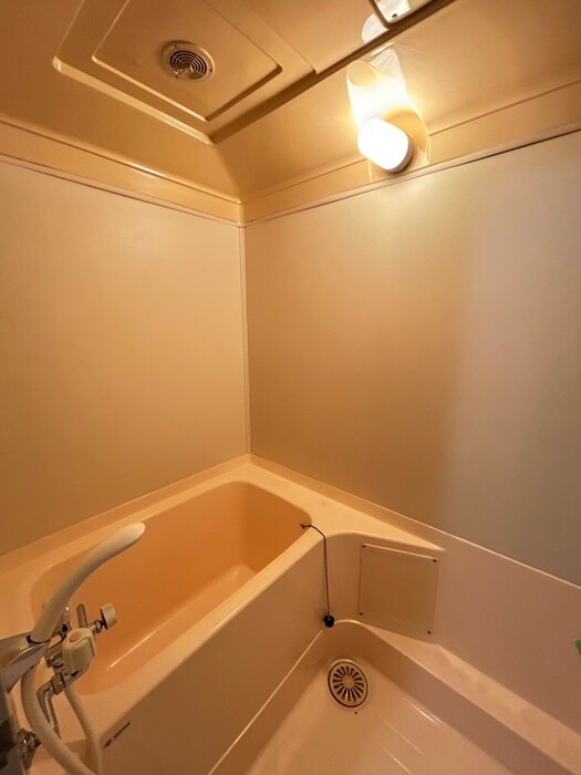 千葉マンションの物件内観写真