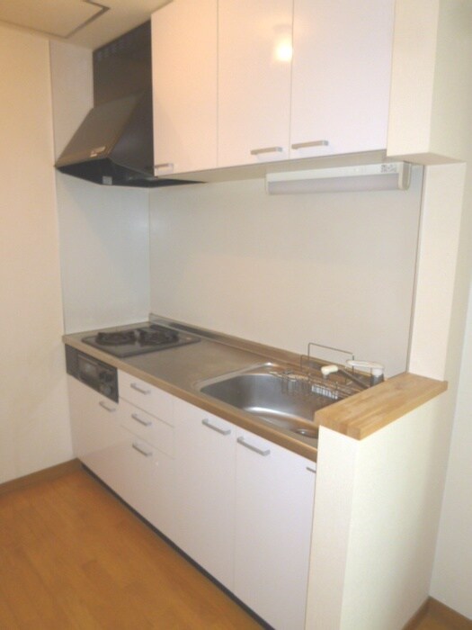 CONFIDENCE菊水元町の物件内観写真