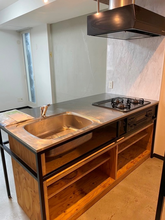 レブニーズ　ザ・レジデンスN21の物件内観写真