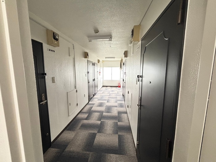 ｴｸｾﾚﾝﾄﾊｳｽ中島公園165の物件外観写真