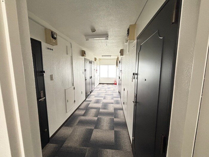 ｴｸｾﾚﾝﾄﾊｳｽ中島公園165の物件外観写真