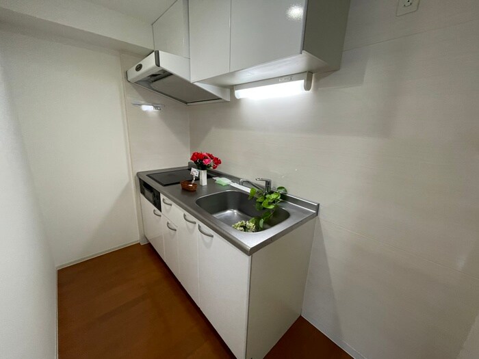 クレジデンス札幌・南4条の物件内観写真