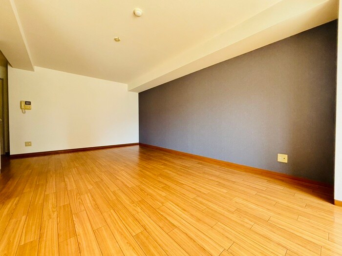 リベルティ山鼻の物件内観写真