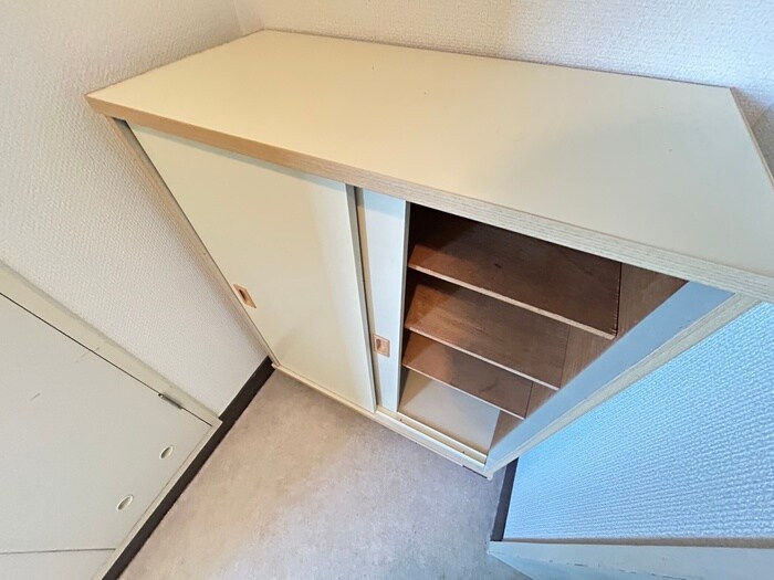 スターコートフォルティスの物件内観写真