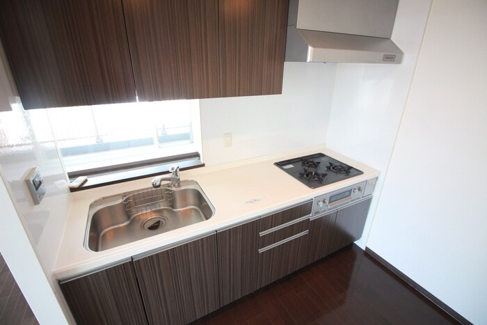 レジディア大通公園の物件内観写真