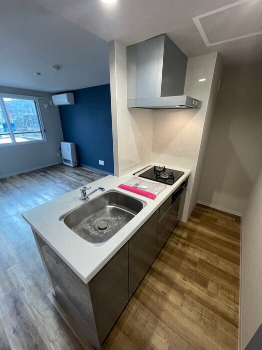 Pino kitamaruyamaの物件内観写真