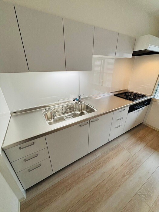 ラ・ヴェルト円山の物件内観写真