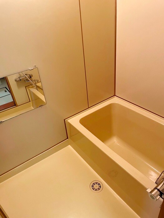 コーポ丸正の物件内観写真