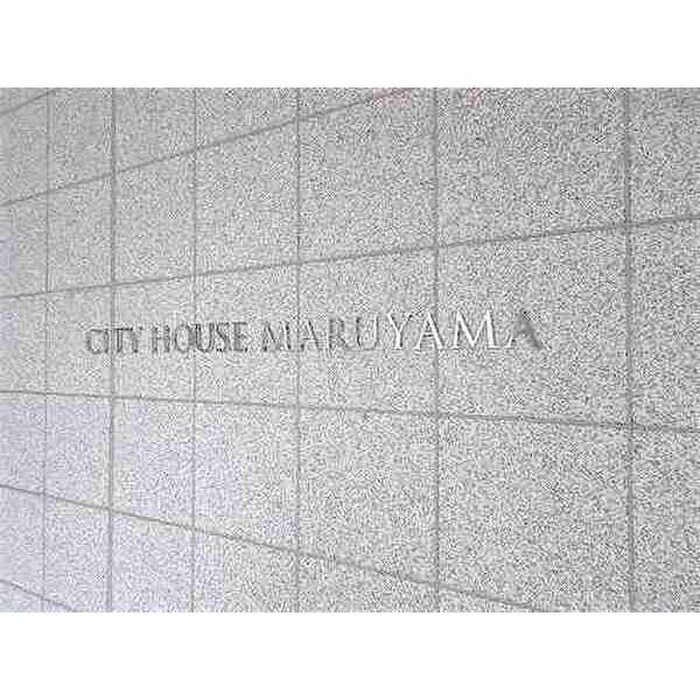 シティハウス円山(1105)の物件外観写真