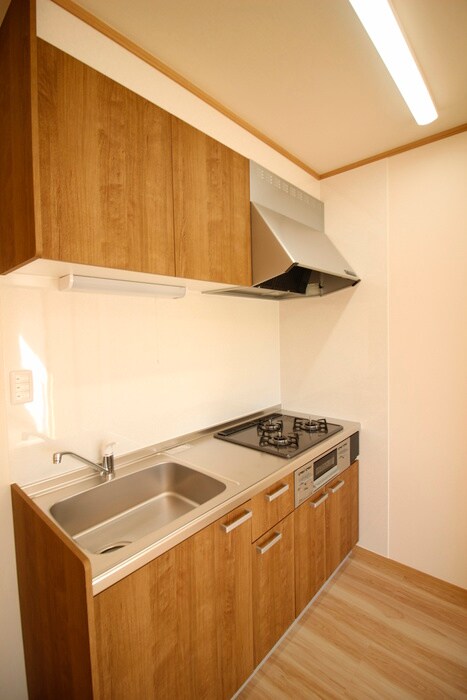 イルサンルイⅠの物件内観写真