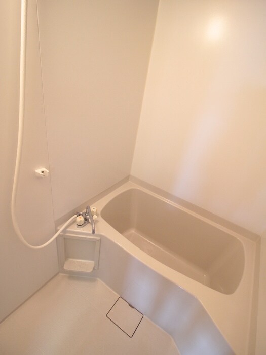 ﾁｪﾘ-ﾛ-ﾄﾞの物件内観写真