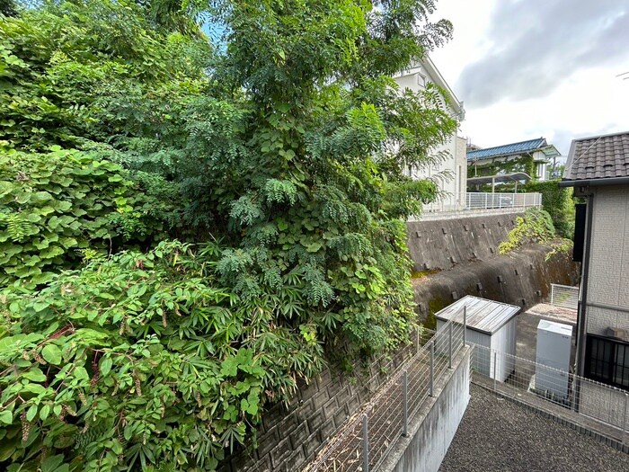 小松島ハイツの物件内観写真