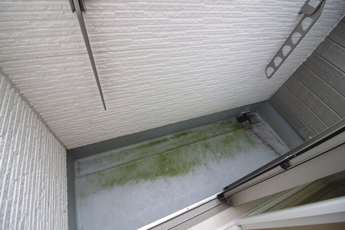 BLOSSOMの物件内観写真