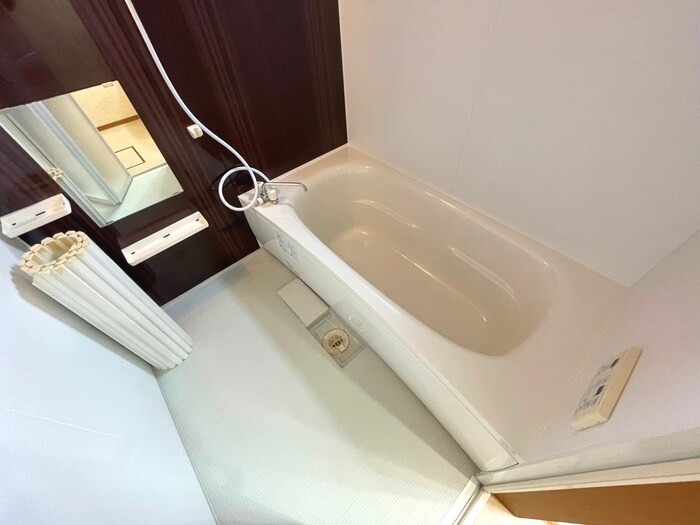 ラグジュアリーの物件内観写真