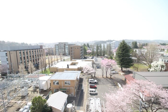 プラウドフラット五橋の物件内観写真