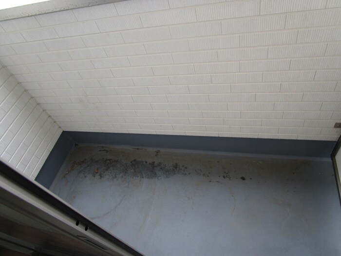 Ｖｉｎ　ｐｅａｒｌの物件内観写真