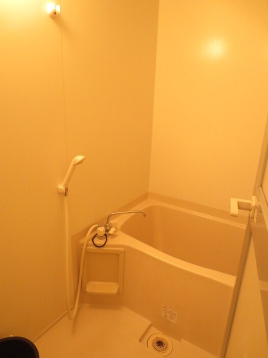 Ｃｏｌｌｅｇｅ　Ｐａｒｋ１２の物件内観写真