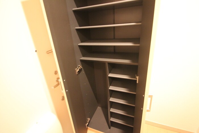 ＷＩＴ木ノ下の物件内観写真