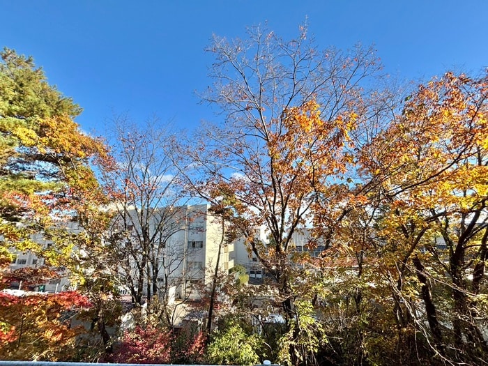 サンヒルズ国見四番館の物件内観写真